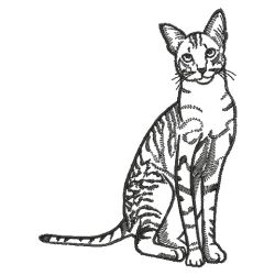 Cat Outlines(Sm) machine embroidery designs