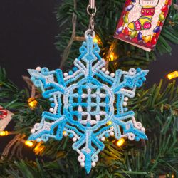 FSL Snowflakes 14 09