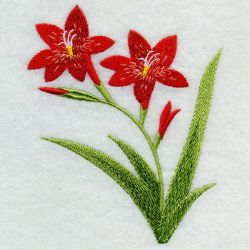 Floral 006 06 machine embroidery designs
