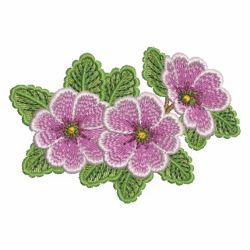 Primroses 2 05