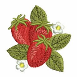 Fruits 04 machine embroidery designs