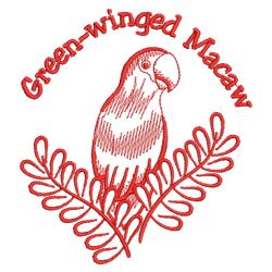 Redwork Parrots 1 02(Sm) machine embroidery designs