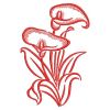 Redwork Heirloom Calla Lily(Md)