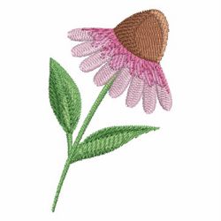 Echinacea machine embroidery designs