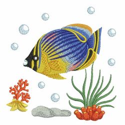 Tropical Fish Scene 02(Sm) machine embroidery designs