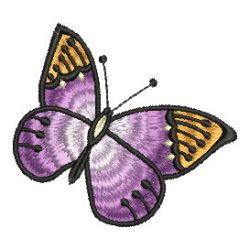 Butterflies 10