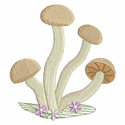 Mushrooms 03