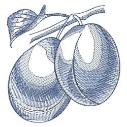 Sketched Fruits 1 08 machine embroidery designs