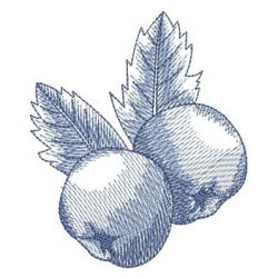 Sketched Fruits 2 03 machine embroidery designs